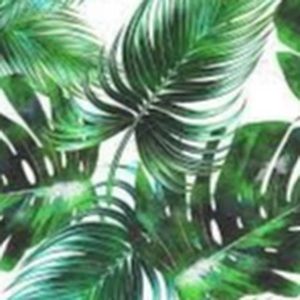 Meet your Posher, Annissa